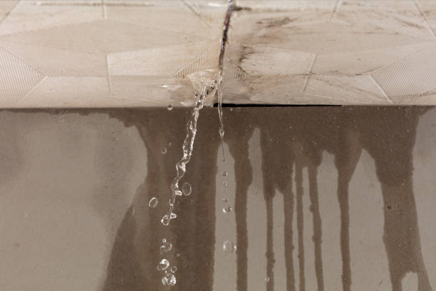 Professional Water Damage Repair technician working in Eagle, MI